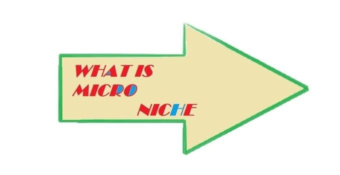 What is Micro Niche Image