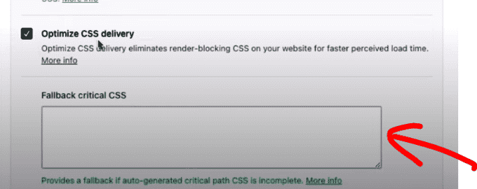 Wp Rocket Plugins Critical CSS Box