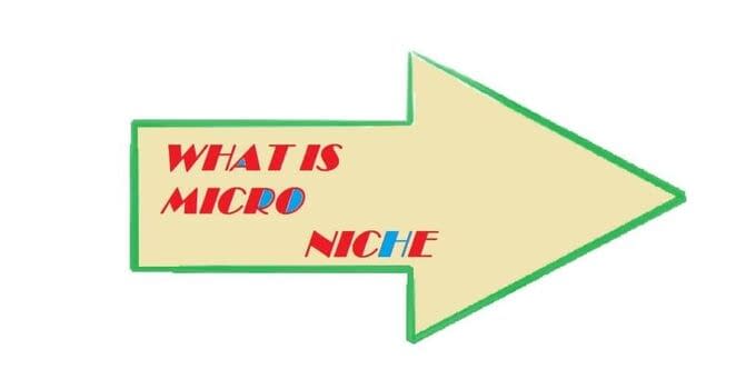 Micro Niche Icon and Logo